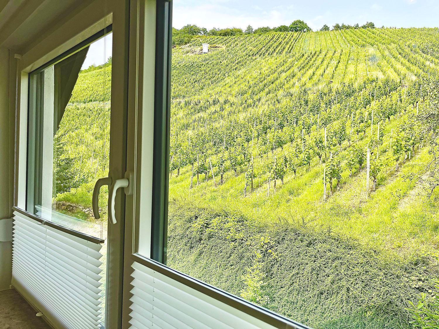 Ferienwohnung 1595 Im Weingut Botzet Maring-Noviand Exterior photo